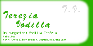 terezia vodilla business card
